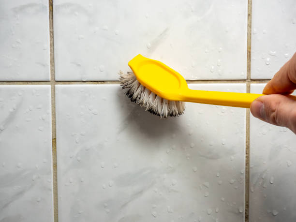 Best Mold Cleaning Services  in South Williamsport, PA